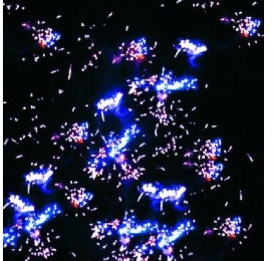 Фейерверк Элитный на 198 залпов 0.8-1.25 дюйм(а) Фейерверк Элитный на 198 залпов 0.8-1.25 дюйм(а)