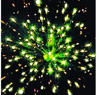 Фейерверк Игристый на 91 залпов 0.8 дюйм(а) Фейерверк Игристый на 91 залпов 0.8 дюйм(а)