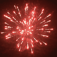 Фейерверк салют «Фейерверк на Торжество» 200 залпов, 0.8- 1.25" калибр Фейерверк салют «Фейерверк на Торжество» 200 залпов, 0.8- 1.25" калибр