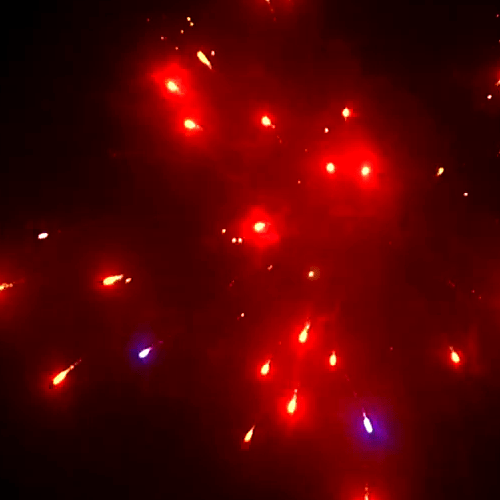 Фейерверк на Торжество на 200 залпов 0.8-1-1.25 дюйм(а) Фейерверк на Торжество на 200 залпов 0.8-1-1.25 дюйм(а)