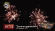 Фейерверк Тысяча хризантем на 150 залпов 1.25 дюйм(а)