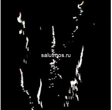Фейерверк Золотой фазан на 25 залпов 0.6 дюйм(а) Фейерверк Золотой фазан на 25 залпов 0.6 дюйм(а)
