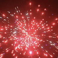 Фейерверк Феникс на 100 залпов 0.8 дюйм(а) Фейерверк Феникс на 100 залпов 0.8 дюйм(а)