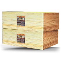 Фейерверк салют «Сенатор» 272 залпов, 1- 1.25" калибр (в двух коробках)