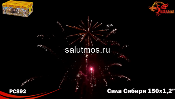 Фейерверк Сила сибири на 150 залпов 1.2 дюйм(а) Фейерверк Сила сибири на 150 залпов 1.2 дюйм(а)