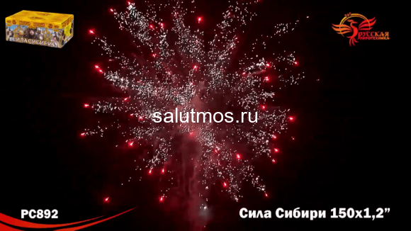 Фейерверк Сила сибири на 150 залпов 1.2 дюйм(а) Фейерверк Сила сибири на 150 залпов 1.2 дюйм(а)