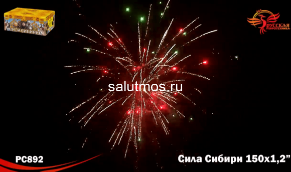 Фейерверк Сила сибири на 150 залпов 1.2 дюйм(а) Фейерверк Сила сибири на 150 залпов 1.2 дюйм(а)