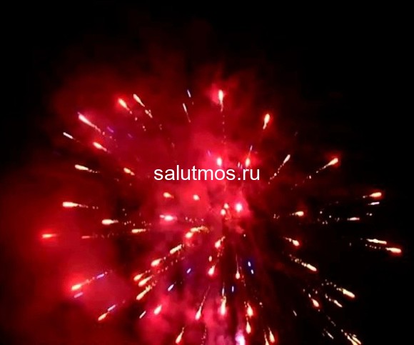 Фейерверк Снежная королева на 49 залпов 1 дюйм(а) Фейерверк Снежная королева на 49 залпов 1 дюйм(а)