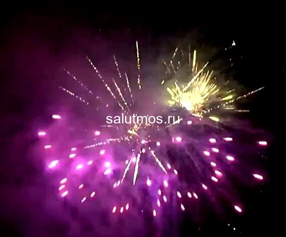 Фейерверк Снежная королева на 49 залпов 1 дюйм(а) Фейерверк Снежная королева на 49 залпов 1 дюйм(а)