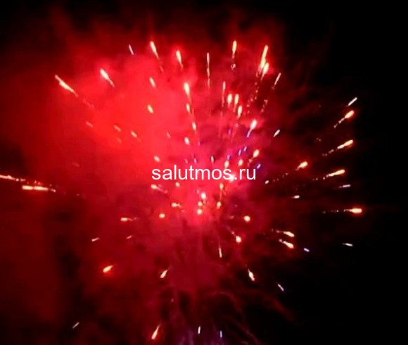 Фейерверк Снежная королева на 49 залпов 1 дюйм(а) Фейерверк Снежная королева на 49 залпов 1 дюйм(а)