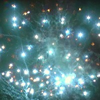 Фейерверк Пиромастер на 34 залпов 0.8-1 дюйм(а) Фейерверк Пиромастер на 34 залпов 0.8-1 дюйм(а)