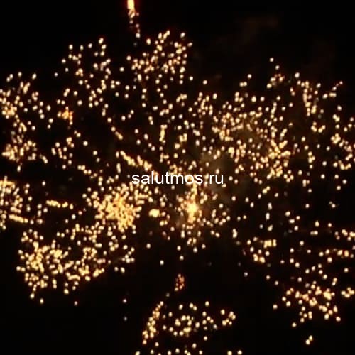 Фейерверк Зевс на 100 залпов 0.8 дюйм(а) Фейерверк Зевс на 100 залпов 0.8 дюйм(а)